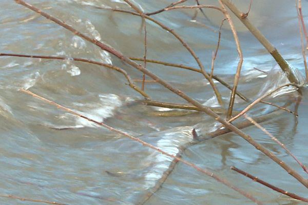 Au Nord de l'Aisne, les débits des rivières ont franchi les seuils de déclenchement de mesure de restriction des usages de l'eau.