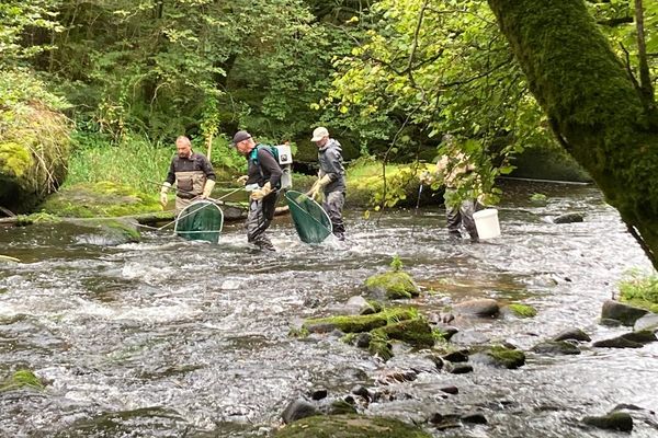 "Le graal du pêcheur en Bretagne, c'est le saumon ! C'est le poisson roi des rivières bretonnes."