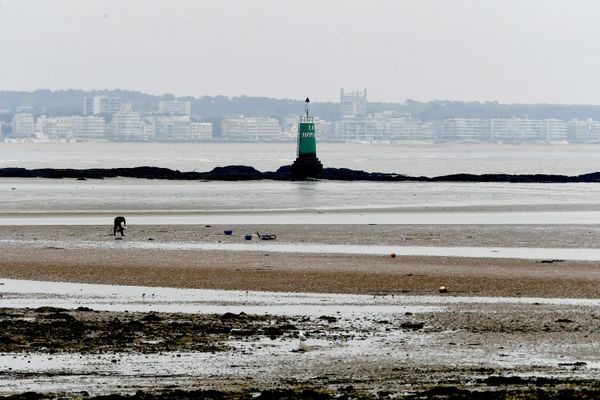 La pêche à pied de loisir interdite en Loire-Atlantique en raison du confinement