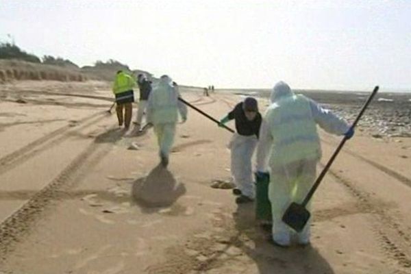 Les agents ramassent les boulettes d'hydrocarbure sur les plages de l'ouest de l'île d'Oléron