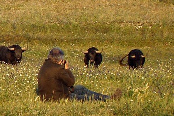 André Viard au campo chez Victorino Martin