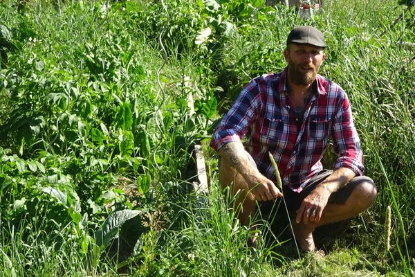 Le Cantalien Ludovic Goetghebeur a créé sa chaîne You Tube "Le potager bienheureux" où il partage en toute simplicité son quotidien de jardinier. 