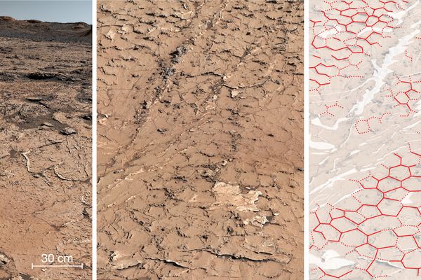 Motif fossile hexagonal dans les roches sédimentaires analysées par Curiosity au 3154e jour de sa progression dans le cratère de Gale sur Mars.