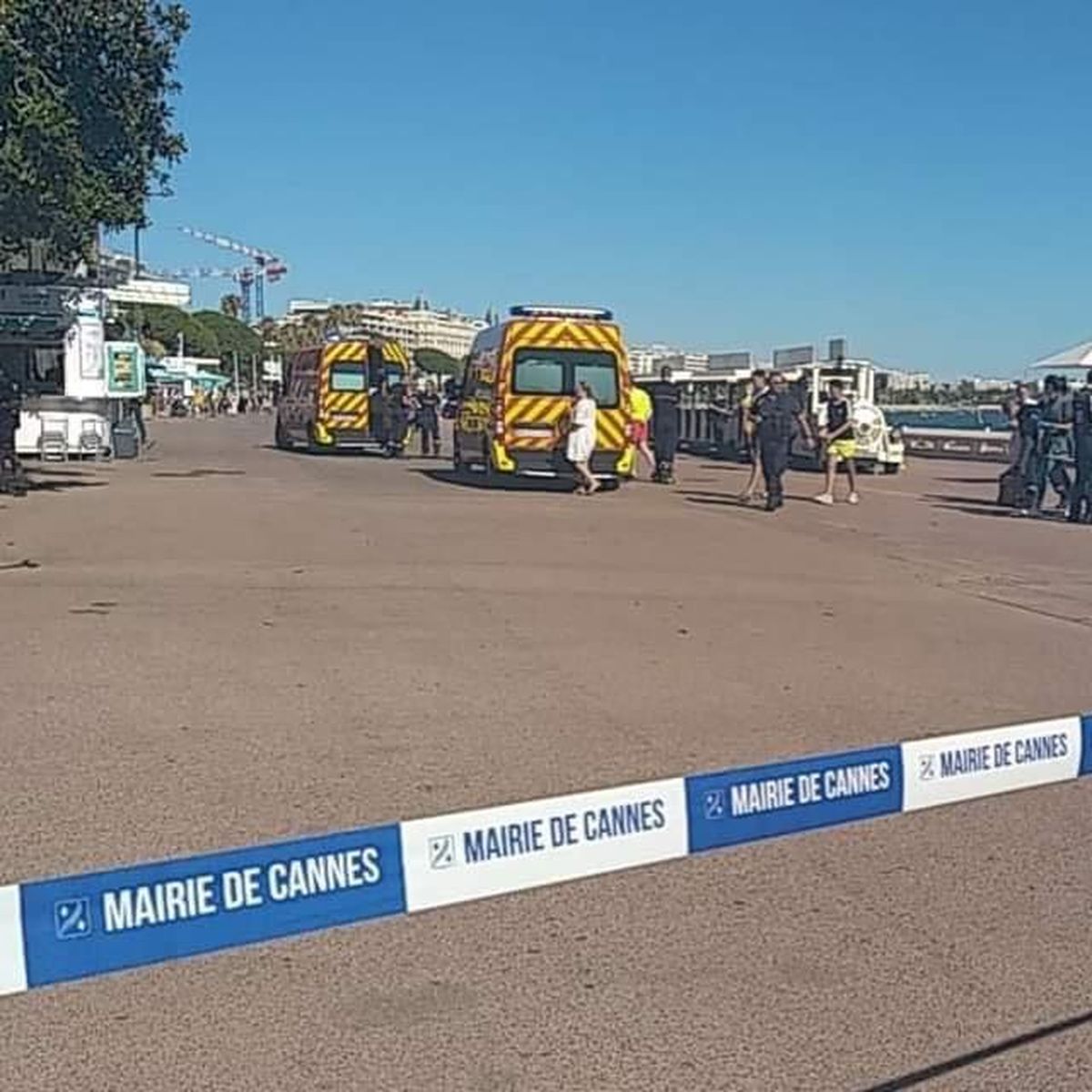 Le Petit Train du cinéma, CANNES I Loisirs CÔTE D'AZUR