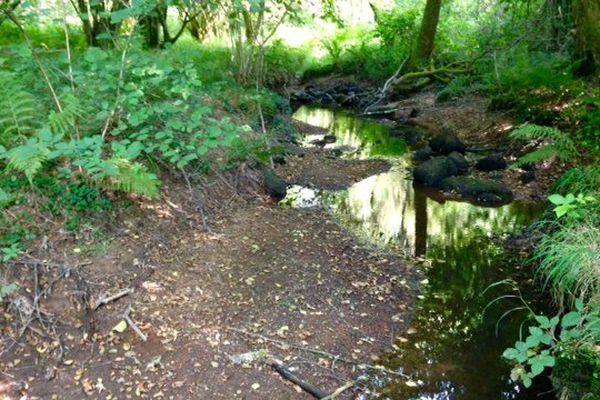 Le ruisseau des Râches, à côté de Saint-Priest-sous-Aixe (Haute Vienne), victime de la sécheresse 