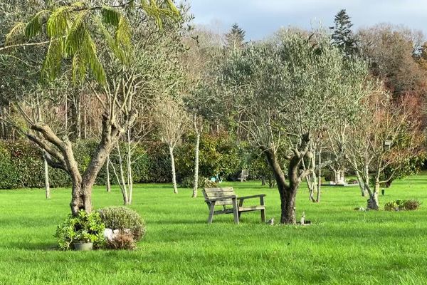 Les Jardins de mémoire, site cinéraire privé situé sur la route du Bono, à Pluneret (Morbihan), ont été créés en 1998