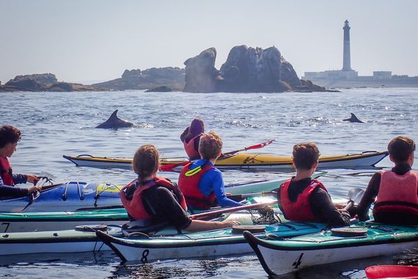 Les rivages de l'île de Sein sont le terrain de jeu favori d'une colonie d'une quarantaine de grands dauphins sédentaires qu'il est possible d'observer en kayak.