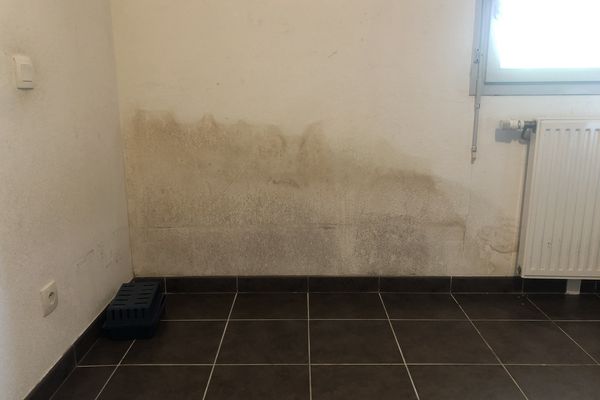 Le taux d'humidité de l'appartement d'amani Bouttefah dépasse les 80%.