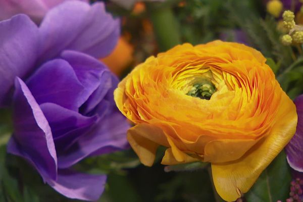 la fleur de saison c'est moins cher, plus local et aussi tendance pour la fête des amoureux.