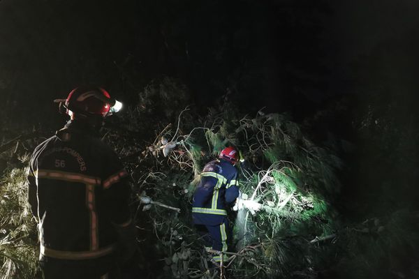 Les pompiers ont dégagé les routes de Belle-Ile toute la nuit