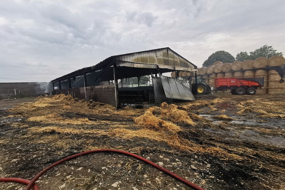 Tragic Fire in Deux-Sèvres: 350 Goats Perish in Agricultural Building Blaze