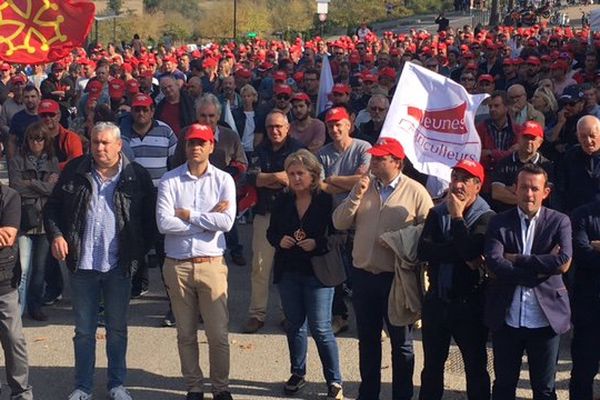 Plus d'un millier de viticulteurs sont réunis à Carcassonne - 18 octobre 2017