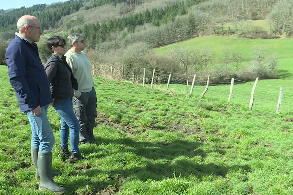 À Jaleyrac, au nord du Cantal, de l'eau va être amenée jusqu'à cette prairie pour faire face aux sécheresses et au réchauffement climatique.