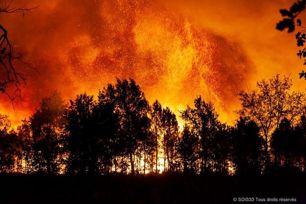 Les incendies historiques en Gironde, témoins de la vulnérabilité de la forêt alors que le réchauffement climatique, accompagné de la sécheresse, marque le territoire.