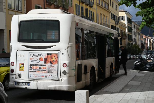 Illustration - C'est un de ces bus, qui desservent le centre-ville d'Ajaccio, qu'a eu lieu l'altercation.