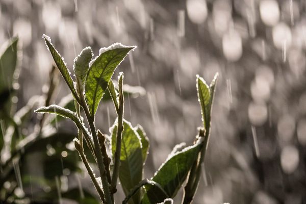 Le neige tombe sur le 20ème arrondissement de Paris, le 30 novembre 2017.