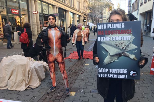 Du faux sang et des messages chocs pour dénoncer la maltraitance animale induite par l'industrie textile rue des Grandes Arcades à Strasbourg.