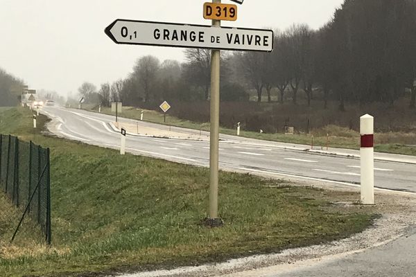 Le conducteur entré en collision avec l'animal a aussitôt prévenu les gendarmes, supposant qu'il avait affaire à un loup. 