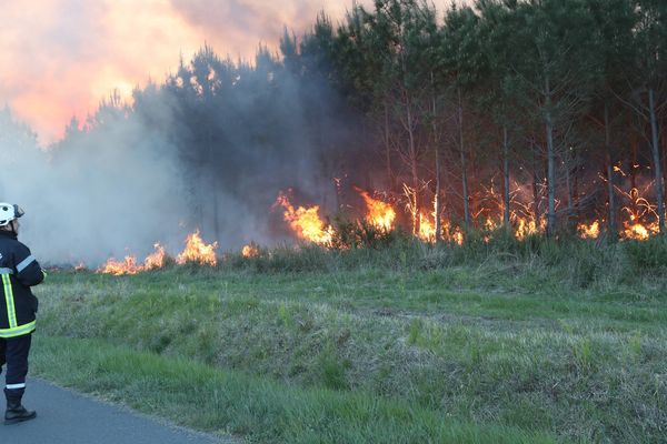 Archives. L'importance de l'incendie de forêt à Cissac-Médoc (33) avait nécessité le renfort des sapeurs-pompiers de départements voisins, dont le Poitou-Charentes.