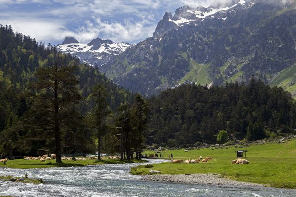 Pont d'Espagne près de Cauterets dans les Hautes-Pyrénées