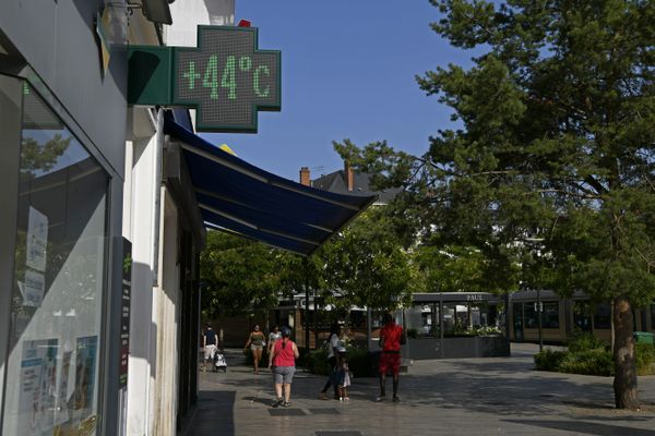 Image d'illustration. Dans les centres-villes les arbres permettent de faire baisser la température.