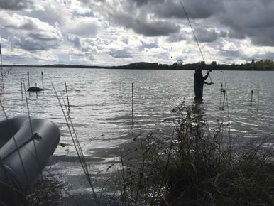 Une carpe de 30 kilos pêchée en Champagne