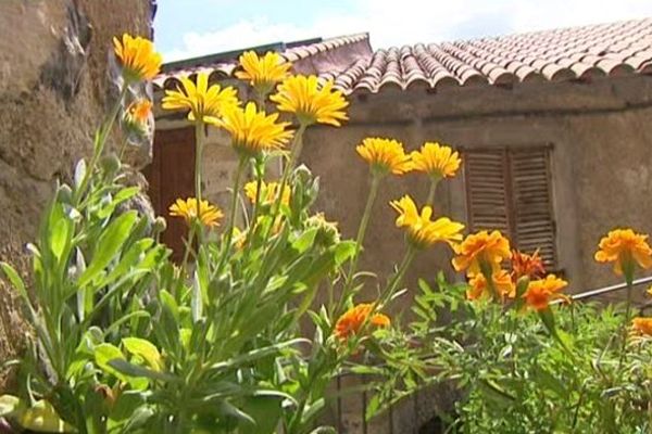 Douze communes du département des Alpes-Maritimes à l'honneur du concours de villages fleuris.