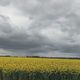 Aubigny-au-Bac (59) arrivée de nuages