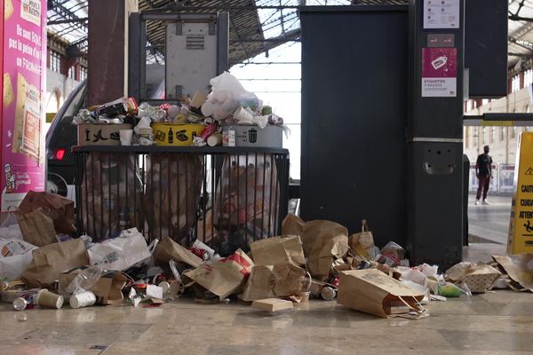 Les poubelles ne sont plus ramassées depuis 15 jours au sein de la gare Saint-Charles.