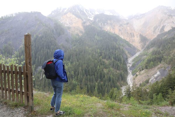 Toute l'année, la forêt de Boscodon est très prisé des randonneurs.