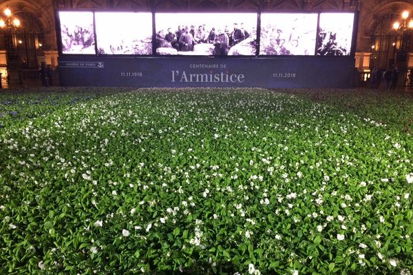 Pour le centenaire de l'Armistice, 94.415 fleurs ont été déposées devant le parvis de l'Hôtel de Ville de Paris.