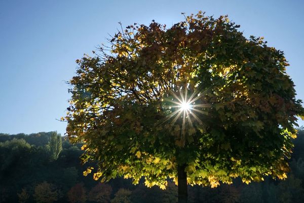 Soleil d'automne