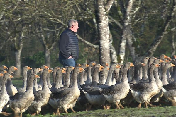 Albin Meynard et sa famille élèvent des oies dans le Périgord depuis trois générations.