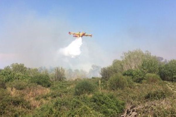 Les pompiers ont engagé 4 canadairs