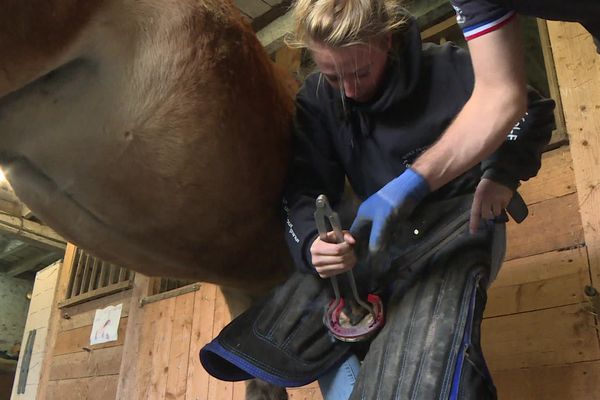 Les élèves de l'école apprennent toutes les facettes du métier, de la forge jusqu'au ferrage de l'animal