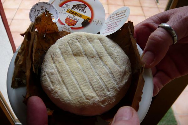 Le traditionnel fromage AOP de Banon sera-t-il victime des accords commerciaux avec le Canada