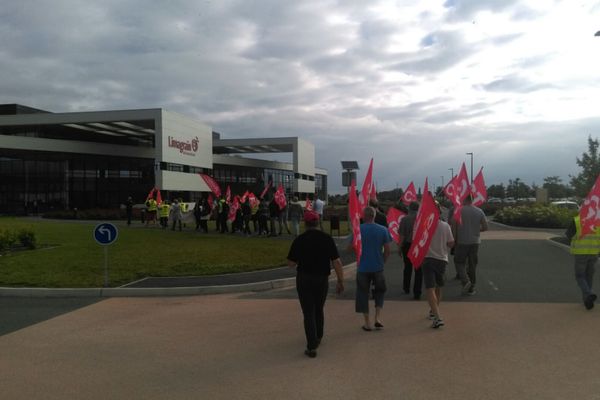 Les salariés de Brossard devant le siège social de Limagrain, groupe auquel appartient Jacquet Brossard, le 28 juin 2016.