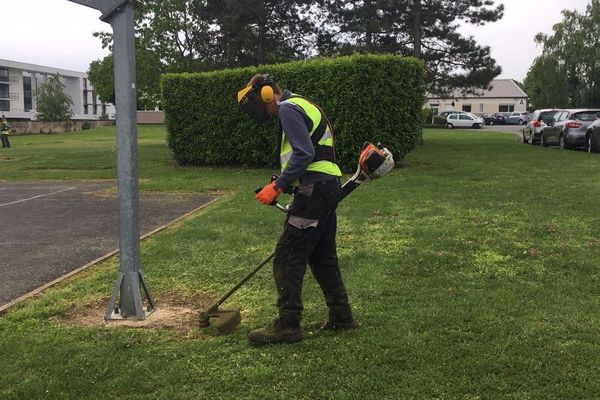 Alexis Villneuve a dabord été stagiaire puis embauché en CDD par l'entreprise STS pour réaliser les travaux d'entretien des espaces verts.