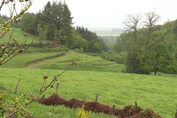 Le 12 juin 1944, alors qu’ils étaient prisonniers, 47 soldats de la Wehrmacht et une femme proche de la Gestapo auraient été exécutés par des résistants membres des FTP.