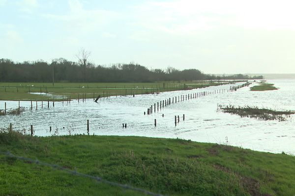 Le marais poitevin profite à plein des précipitations de l'automne