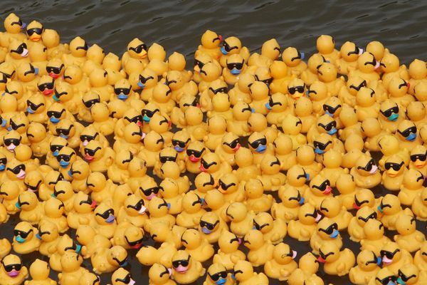 Dimanche 10 juin 2018, la Duck Race revient à Vichy pour la deuxième année consécutive 