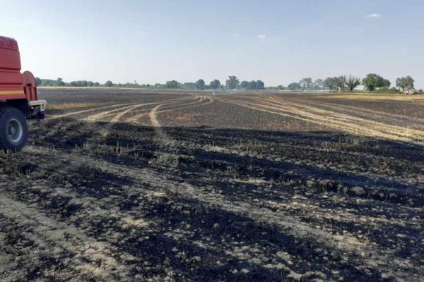 Sur  la commune de Magné, dans la Vienne, 25 hectares sont partis en fumée.