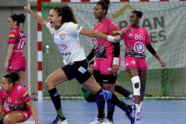 L'équipe de Fleury Loiret Handball battue par le Baia Mare, à Orléans, le 14 février 2016.