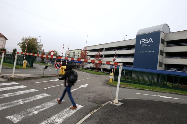 Avec 74,7 milliards d'euros de chiffres d'affaires, PSA a réalisé un nouveau record de rentabilité en 2019.