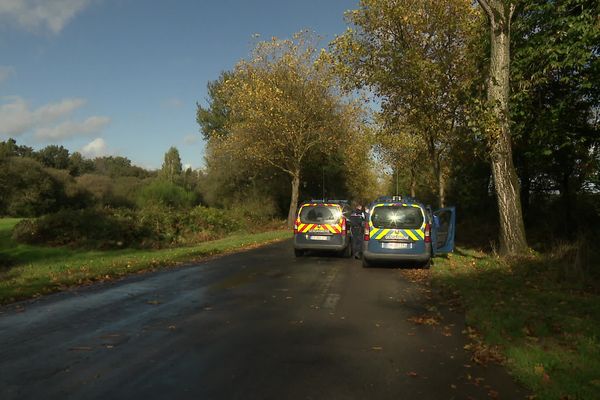 Après un accident de chasse qui a grièvement blessé un automobiliste sur la N137, les gendarmes réalisent des prélèvements et tentent de reconstituer les événements