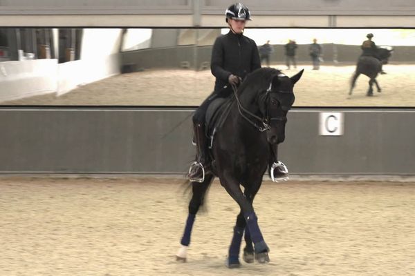 Etoile montante de sa discipline, Mado Pinto espère se qualifier pour les Jeux olympiques d'équitation.