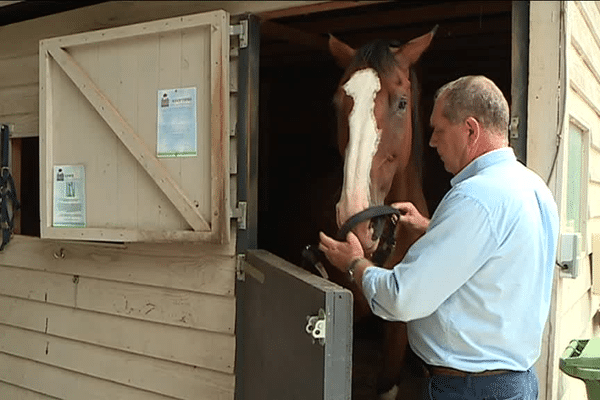 Depuis 2010, en Dordogne, Roland prend soin des chevaux blessés et retraités de la police britannique.