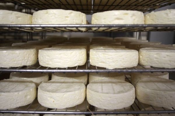 La Société fromagère de la Brie tourne à l'arrêt après avoir été mise en cause dans un cas de Listeria début avril.