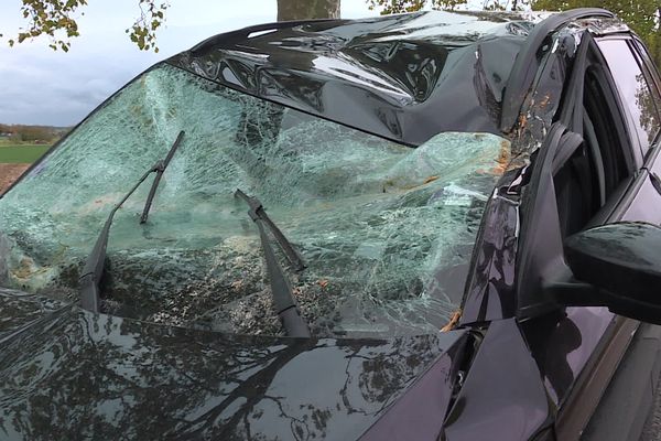 Arraye-et-Han (Meurthe et Moselle). Après le passage de la tempête Aurore, les branches d'un platane sont tombées sur une voiture. 