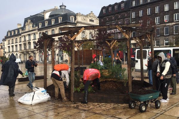 Des sapins "vivants" ont été plantés en terre là où s'installe habituellement le sapin de Noël